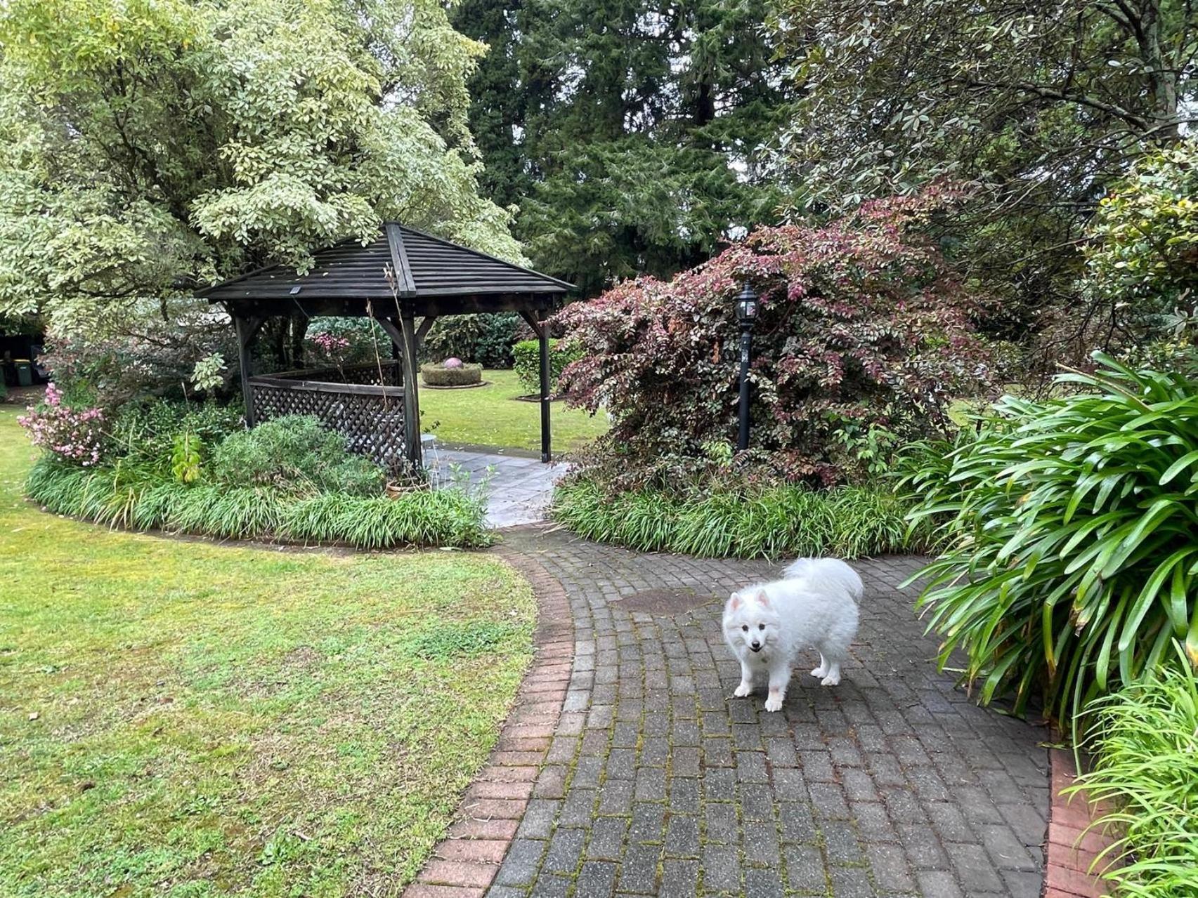 Garden Paradise In Rotorua With Pool 외부 사진